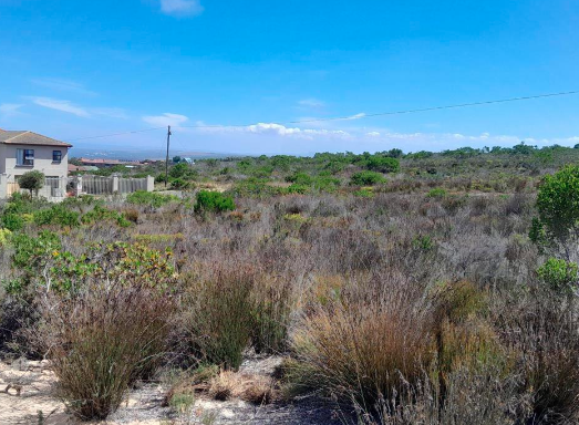 0 Bedroom Property for Sale in Dana Bay Western Cape